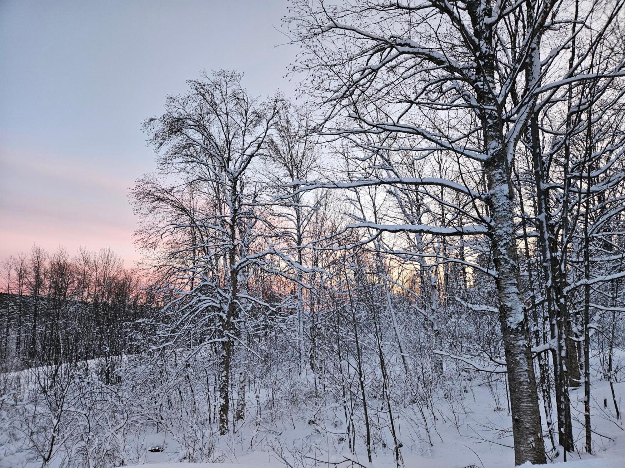 Parc Du Mont-Citadelle Villa Saint-Honore-de-Temiscouata Екстериор снимка